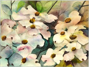 Dogwood